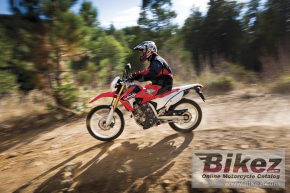 2013 Honda CRF250L photo